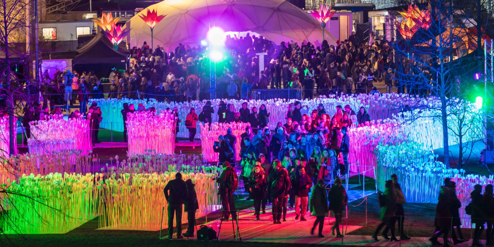 Purpose_Image-Template-01